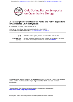 A Transcription Fork Model for Pol IV and Pol V