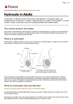 Hydrocele - Rotherham CCG