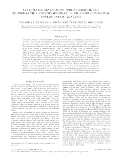 systematic revision of jorunna bergh, 1876