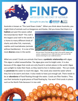 Australia is known as &ldquo;The Land Down Under&rdquo;. When you think