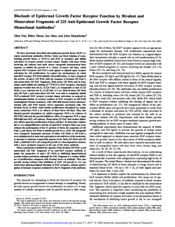 Blockade of Epidermal Growth Factor Receptor Function by Bivalent