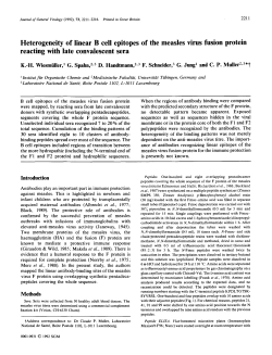 Heterogeneity of linear B cell epitopes of the measles virus fusion