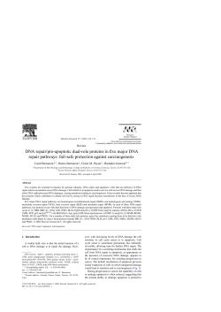 DNA repair/pro-apoptotic dual-role proteins in five major DNA repair