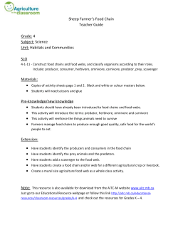 Sheep Farmer`s Food Chain Teacher Guide Grade