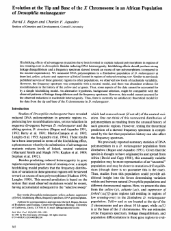 Evolution at the Tip and Base of the X Chromosome in an African