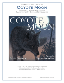 Curriculum Guide - Maria Gianferrari