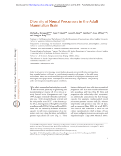Review cell morphology