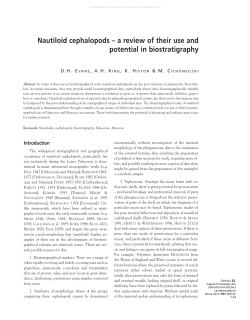Nautiloid cephalopods &ndash; a review of their use and