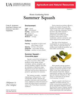 Summer Squash (Home Gardening Series) - FSA6019