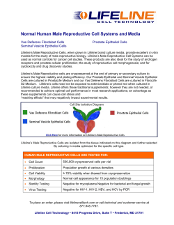 Normal Human Male Reproductive Cell Systems and Media