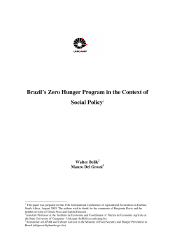 Brazil`s Zero Hunger Program in the Context of Social