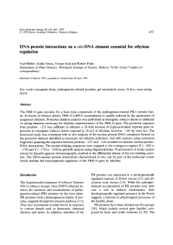DNA element essential for ethylene re