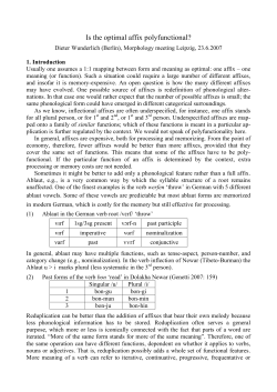 Is the optimal affix polyfunctional?