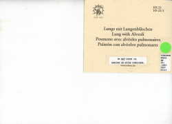 Lunge mit Lungenblaschen Lung with Alveoli Poumons avec