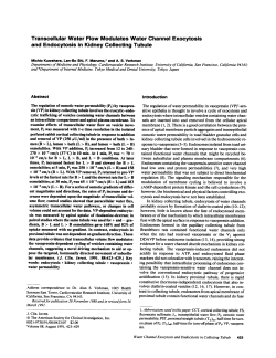 Transcellular Water Flow Modulates Water Channel Exocytosis