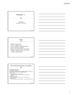 Neoplasia &ndash;1 - University of Wyoming