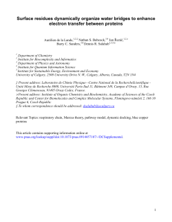 Surface residues dynamically organize water bridges to enhance