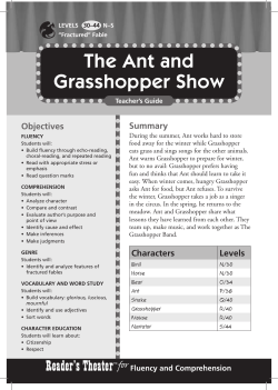 The Ant and Grasshopper Show