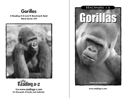 Gorillas