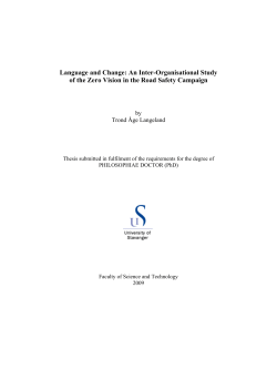 Nullvisjonen: A Study of the Zero Vision in the