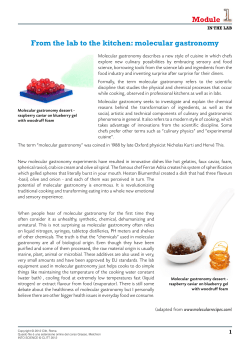 Module From the lab to the kitchen: molecular gastronomy
