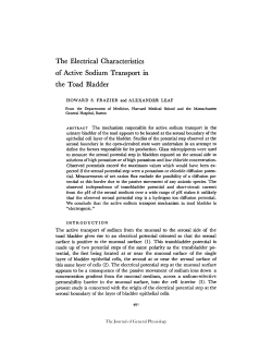 The Electrical Characteristics of Active Sodium Transport in the Toad