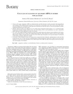 and uwe g. hacke - University of Alberta