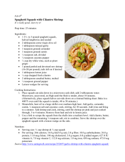 Spaghetti Squash with Cilantro Shrimp