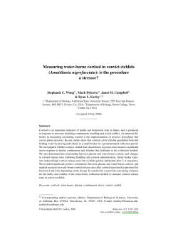 Measuring water-borne cortisol in convict cichlids