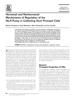 Hormonal and Nonhormonal Mechanisms of Regulation of the Na,K
