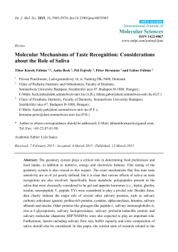 Molecular Mechanisms of Taste Recognition: Considerations about