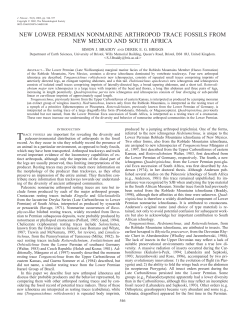 new lower permian nonmarine arthropod trace fossils from new