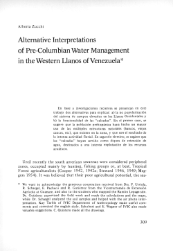 Alternative Interpretations of Pre-Columbian Water Management in