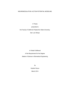 Neuromodulation: Action Potential Modeling