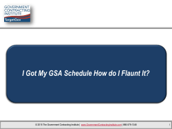 I Got My GSA Schedule How do I Flaunt It?