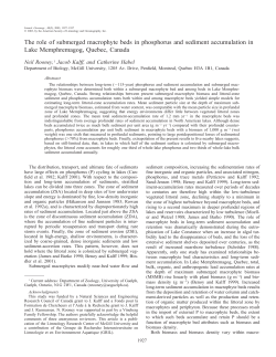 as a PDF