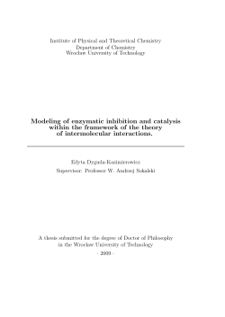Modeling of enzymatic inhibition and catalysis within the framework