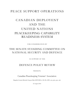 peacekeeping consulting services