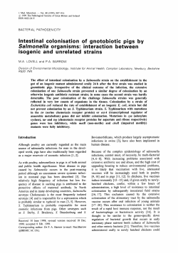 Intestinal colonisation of gnotobiotic pigs by Salmonella organisms