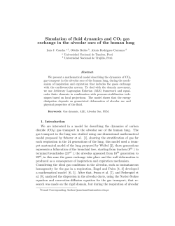 Simulation of fluid dynamics and CO2 gas exchange in the alveolar