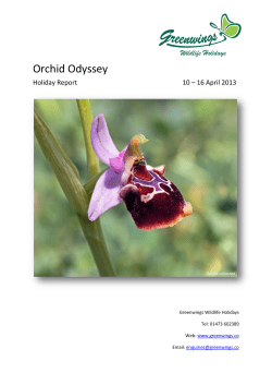 Orchid Odyssey - Greenwings Wildlife Holidays