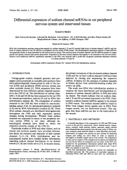 Differential expression of sodium channel mRNAs in rat peripheral
