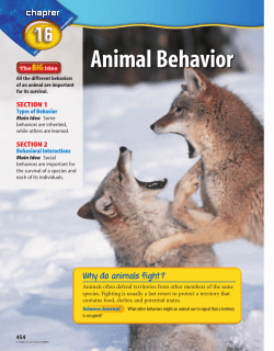 Animal Behavior