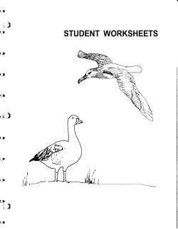 student worksheets - the National Sea Grant Library