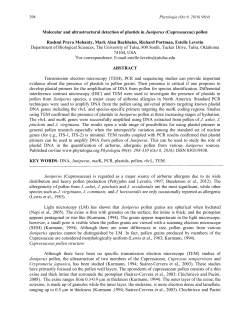 Molecular and ultrastructural detection of plastids