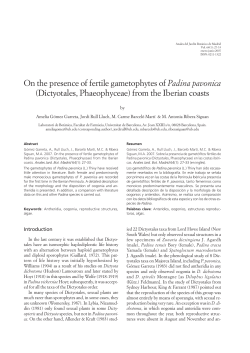 On the presence of fertile gametophytes of Padina pavonica