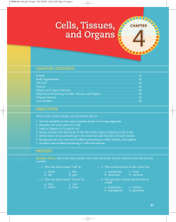 chapter contents objectives pretest