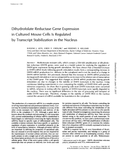 Dihydrofolate Reductase Gene Expression in Cultured Mouse Cells