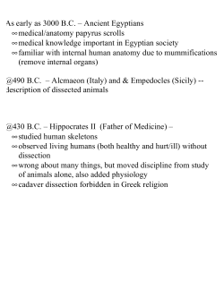 anatomy timeline-small