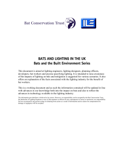 Bats and Lighting in the UK